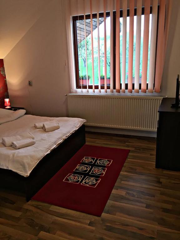 Pensiunea Maramures Ocna Şugatag Exterior foto