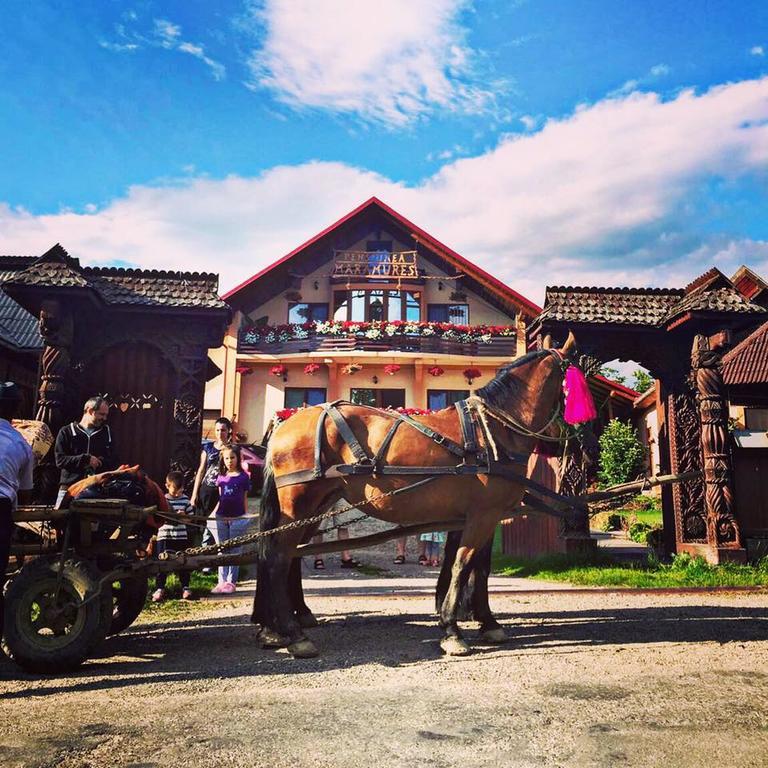 Pensiunea Maramures Ocna Şugatag Exterior foto