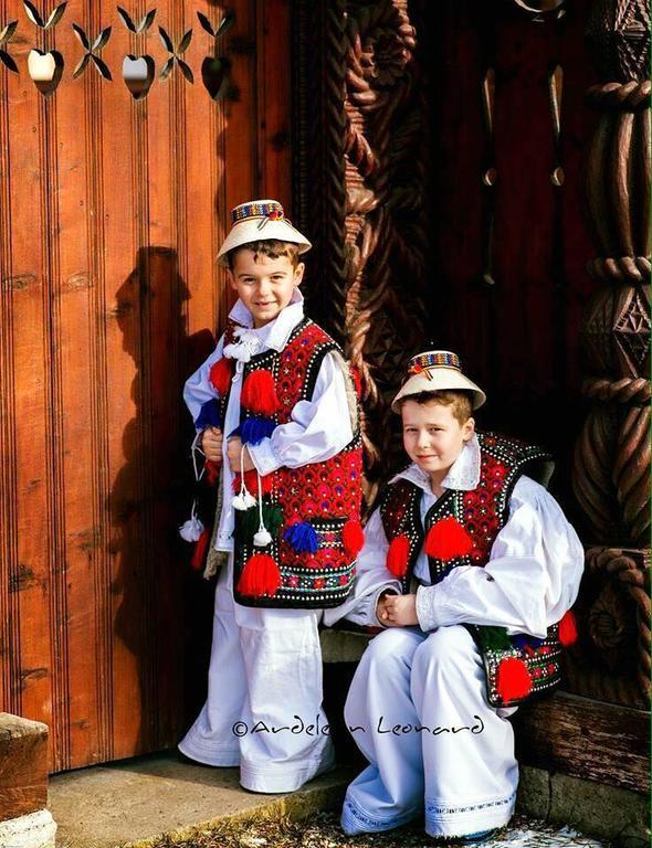 Pensiunea Maramures Ocna Şugatag Exterior foto